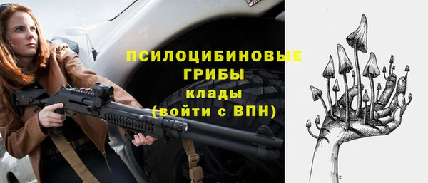 хмурый Арсеньев