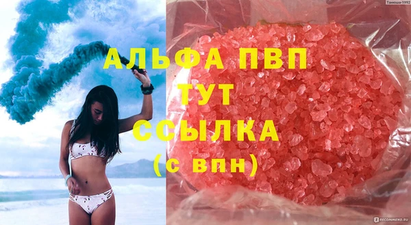 стафф Алексин
