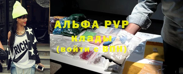 гидра Гусиноозёрск