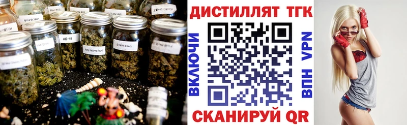 Дистиллят ТГК THC oil  как найти   ОМГ ОМГ онион  Багратионовск 